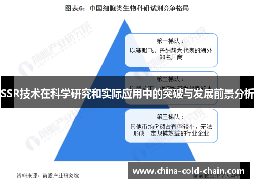 SSR技术在科学研究和实际应用中的突破与发展前景分析